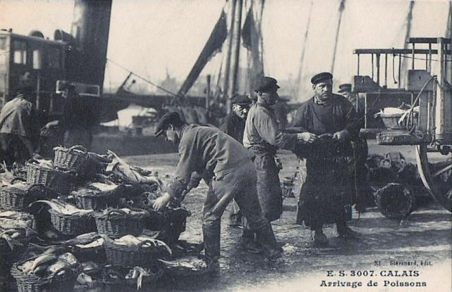calais-arrivage-du-poisson-1.jpg