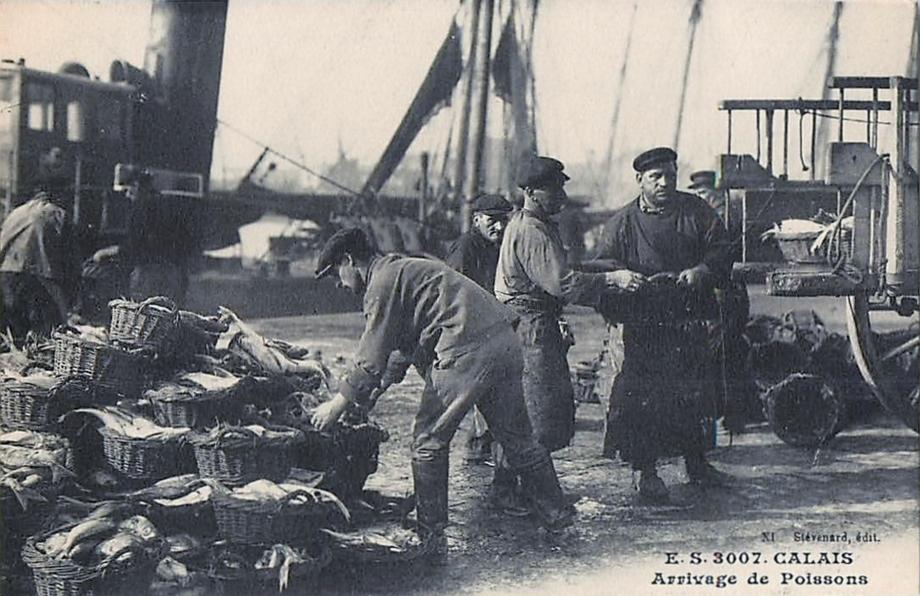 calais-arrivage-du-poisson.jpg